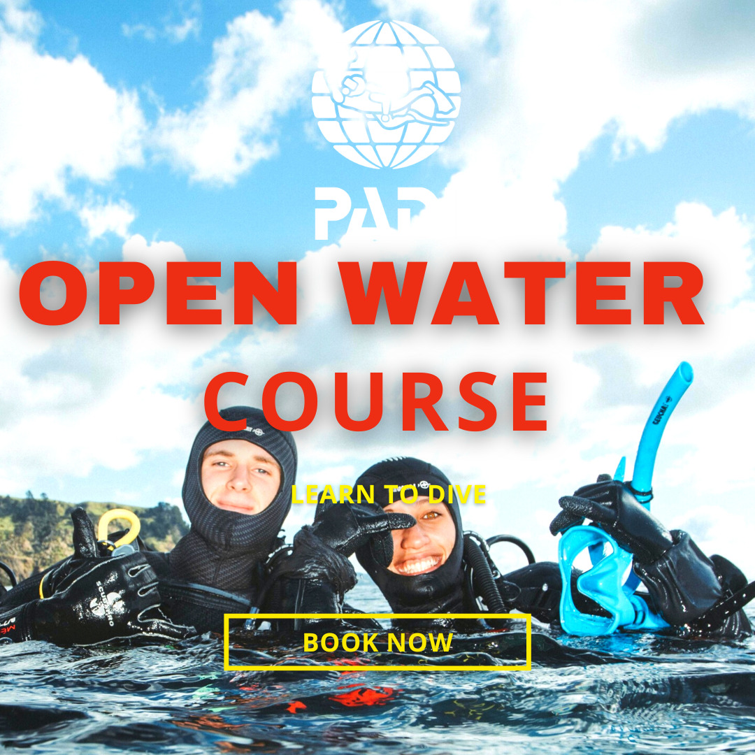 PADI Open Water Course